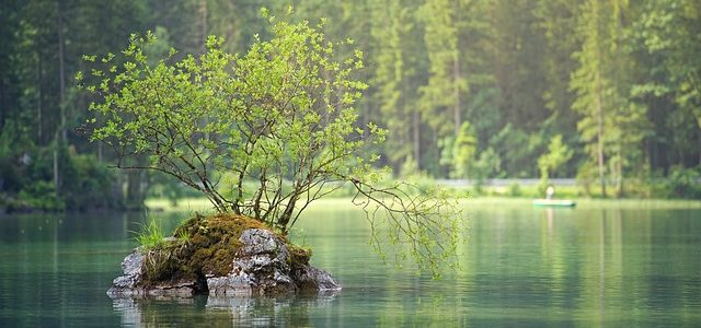 Ballade en forêt de Soignes – 15 octobre 2018 Ballade en forêt de Soignes – 15 octobre 2018